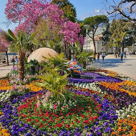 Meranosuites - Garden